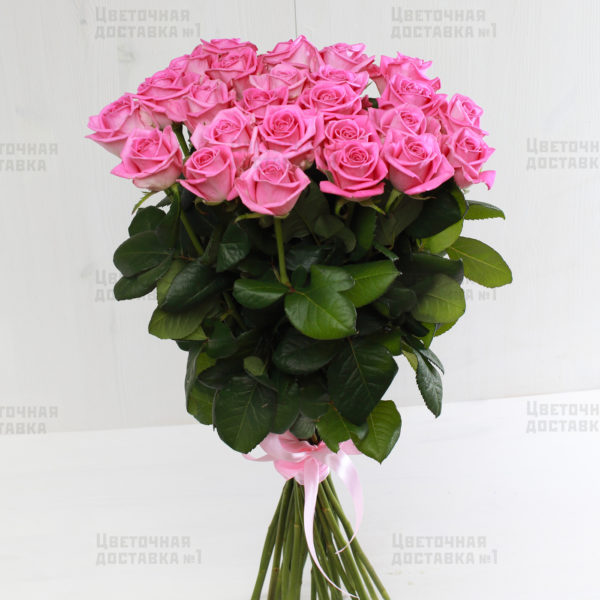 Купить 25 розовых роз в СПб недорого