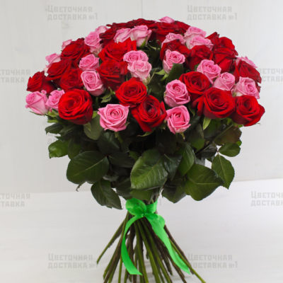 51 красно-розовая роза в СПб с доставкой