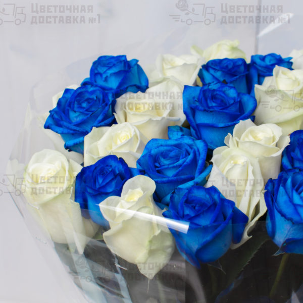 Синяя и белая роза на фото