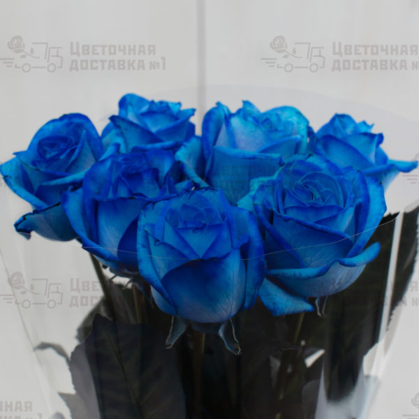 Синие розы фото СПб