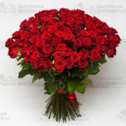 Купите 101 розу красного цвета в магазине с доставочкой