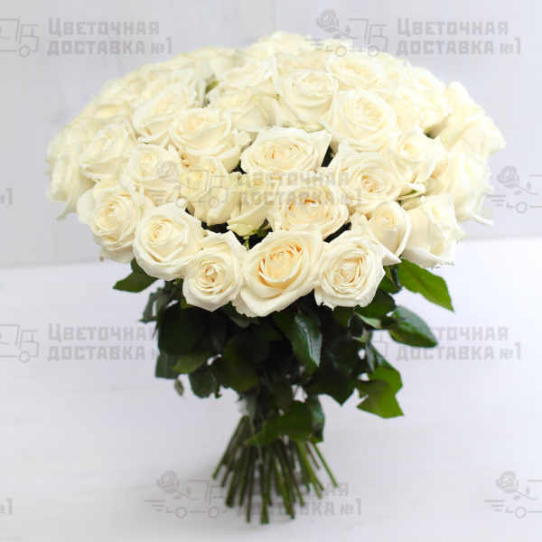 51 белая роза в СПб