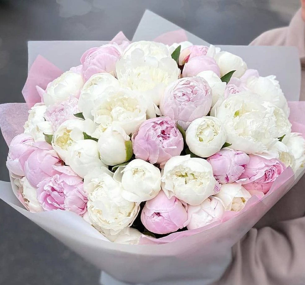 Букет из 29 пионов белых и розовых - Цветочная доставка №1